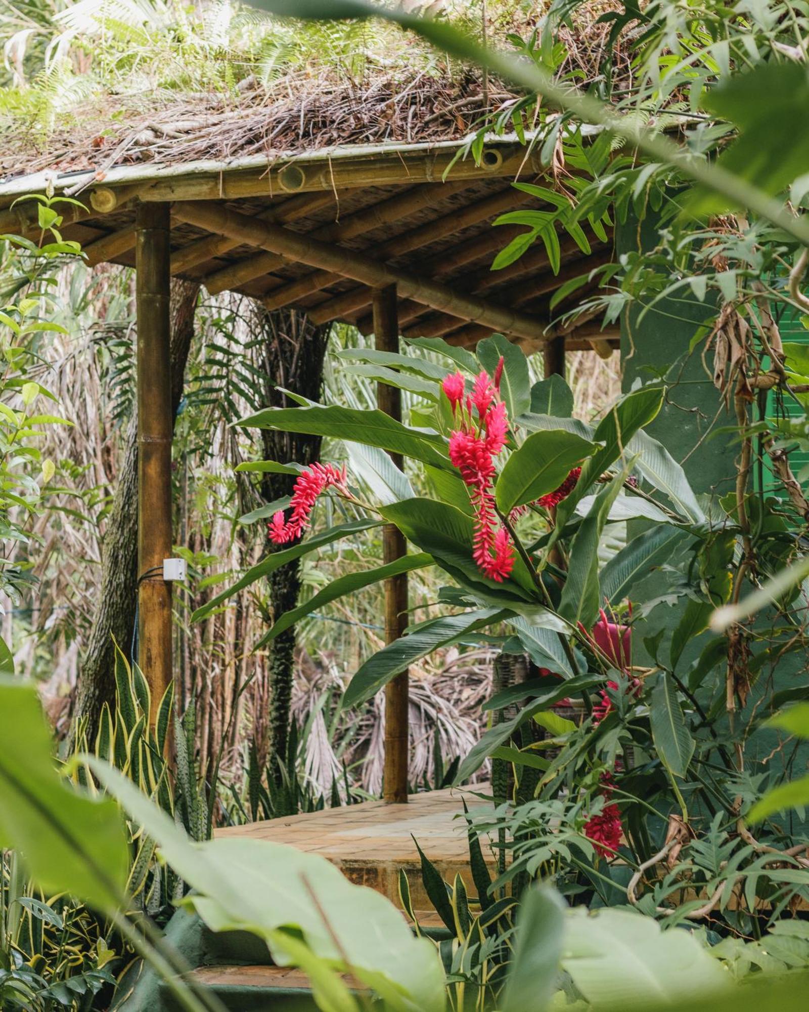 Butterfly House Bahia Hotel Marau Kültér fotó